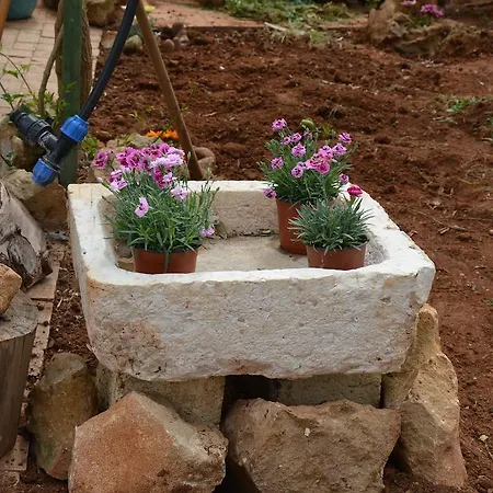 Tatil Evi La Dimora Di Gaspare *