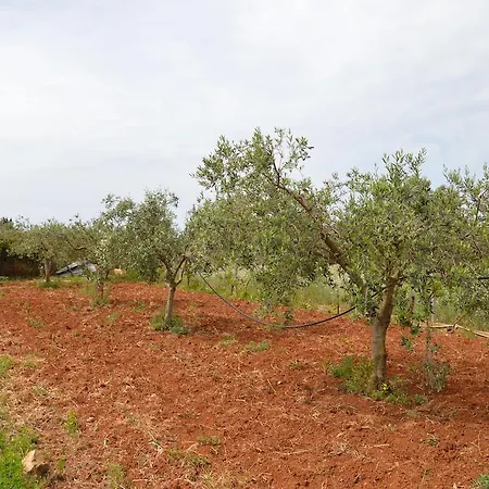 Tatil Evi La Dimora Di Gaspare Locogrande